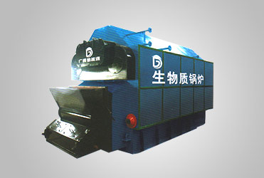 Biomass (steam) boiler